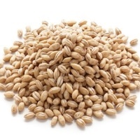 Крупа перловая 25 кг